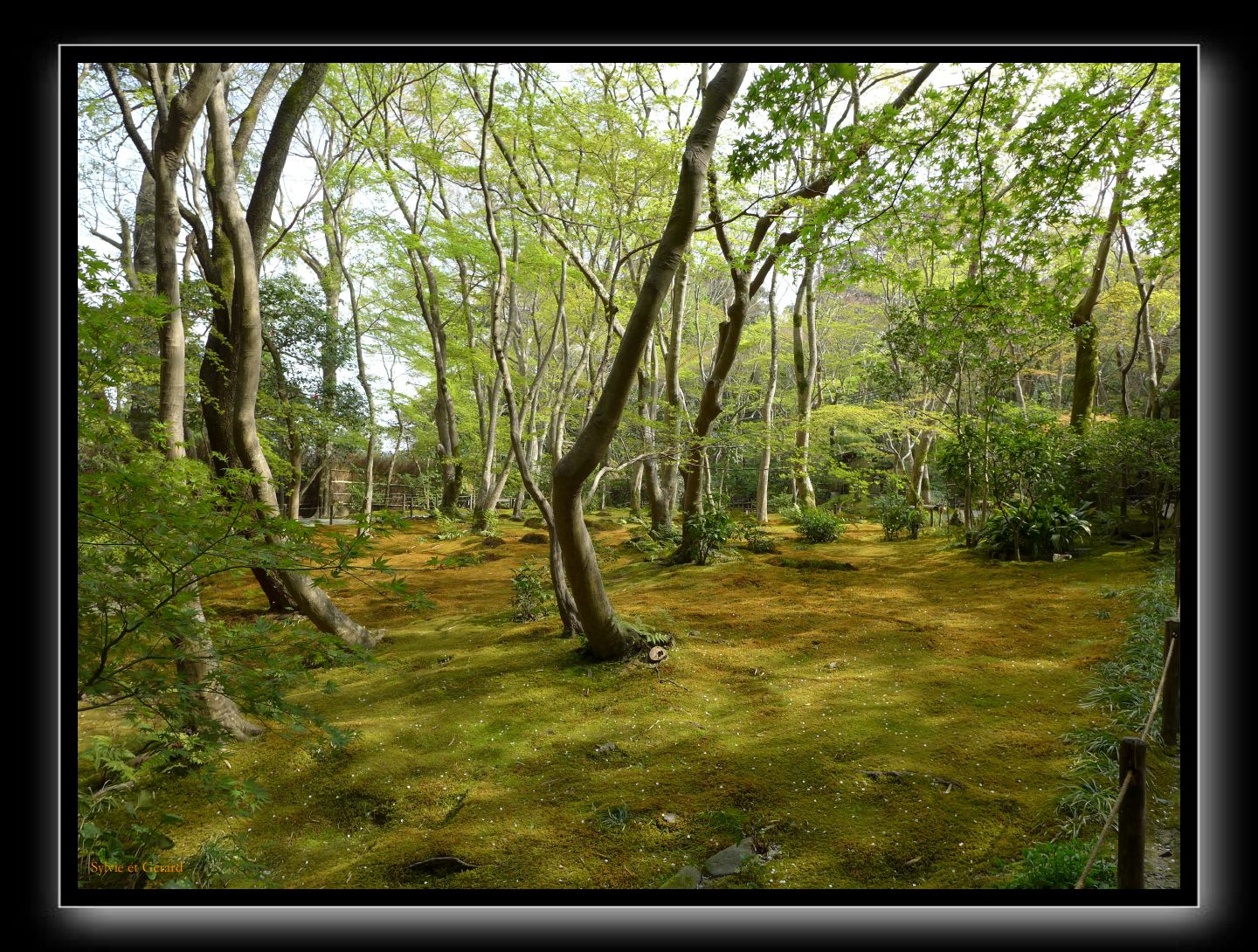 022 Kyoto Arashiyama Gio-ji 