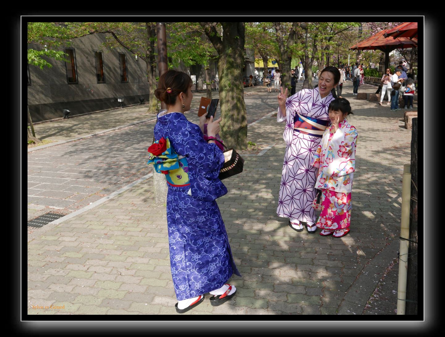 242 Kyoto Shrirakawa Minami Dori 