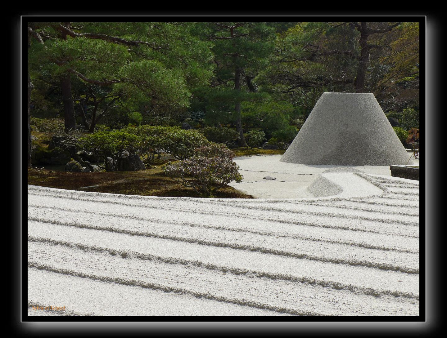 246 Kyoto Temple d'Argent 