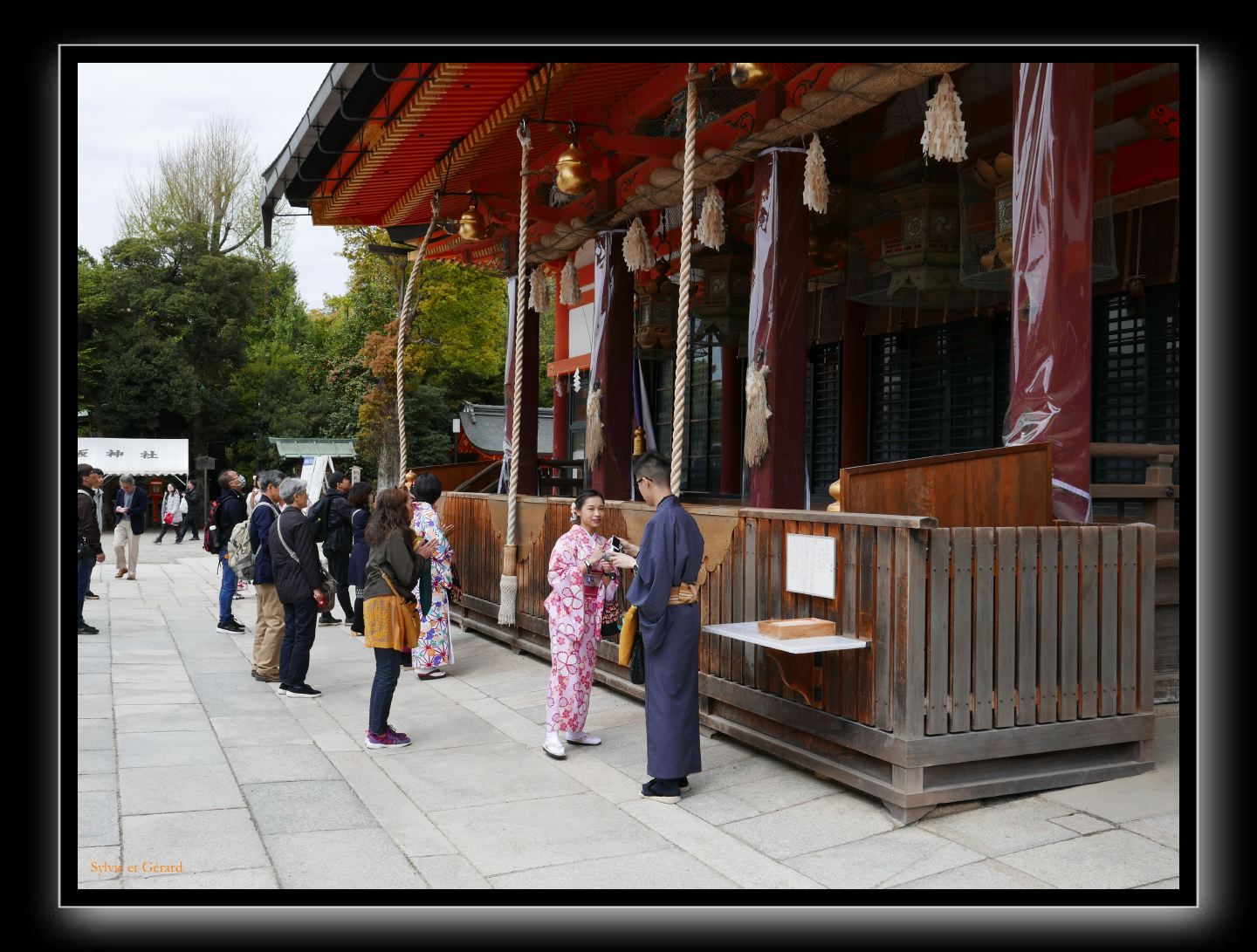 254 Kyoto Yasaka Shrine 