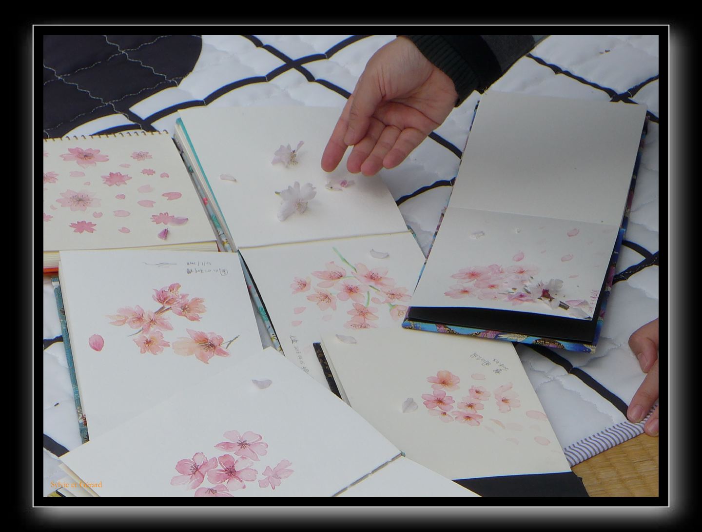 257 Kyoto Yasaka Shrine 