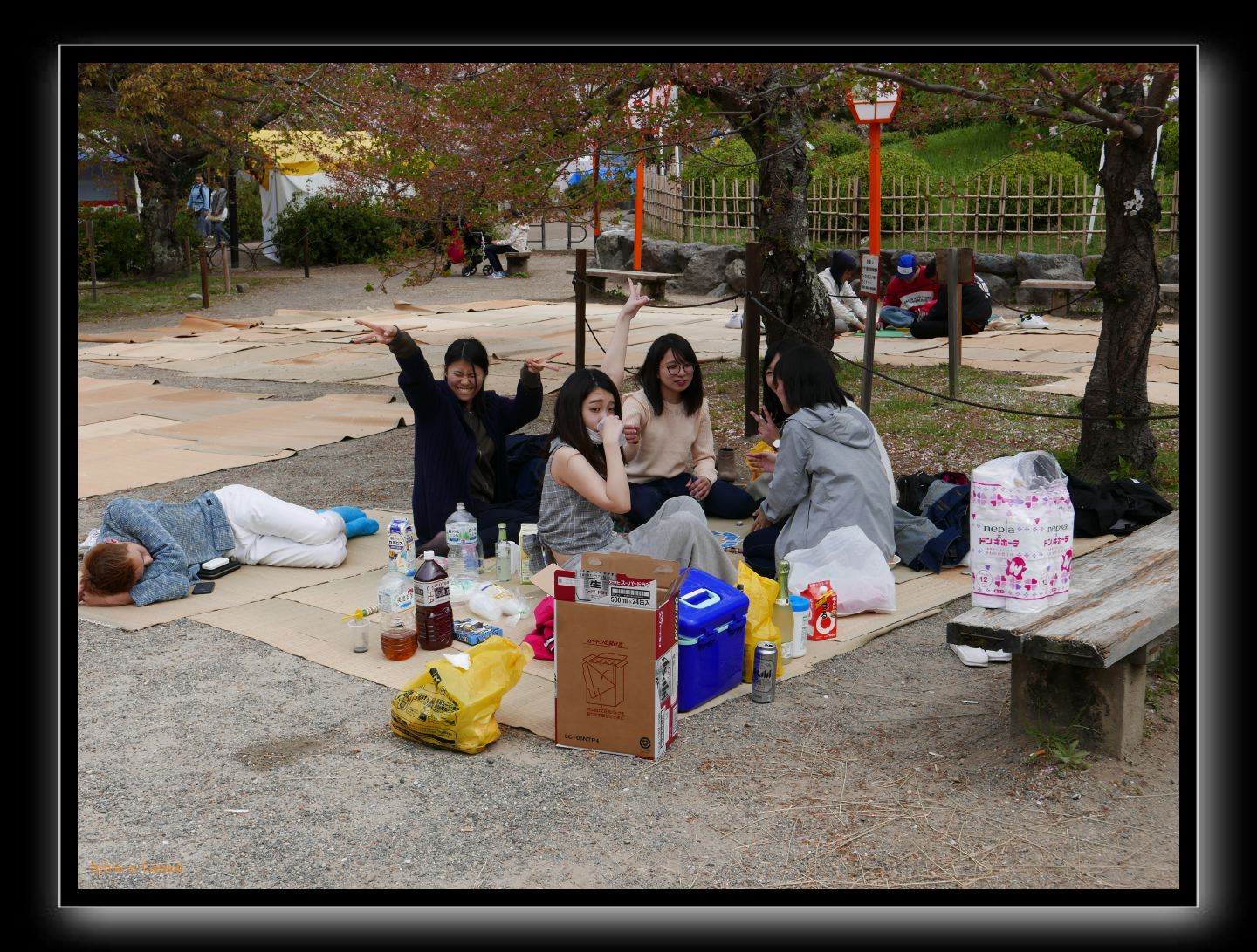 259 Kyoto Yasaka Shrine 