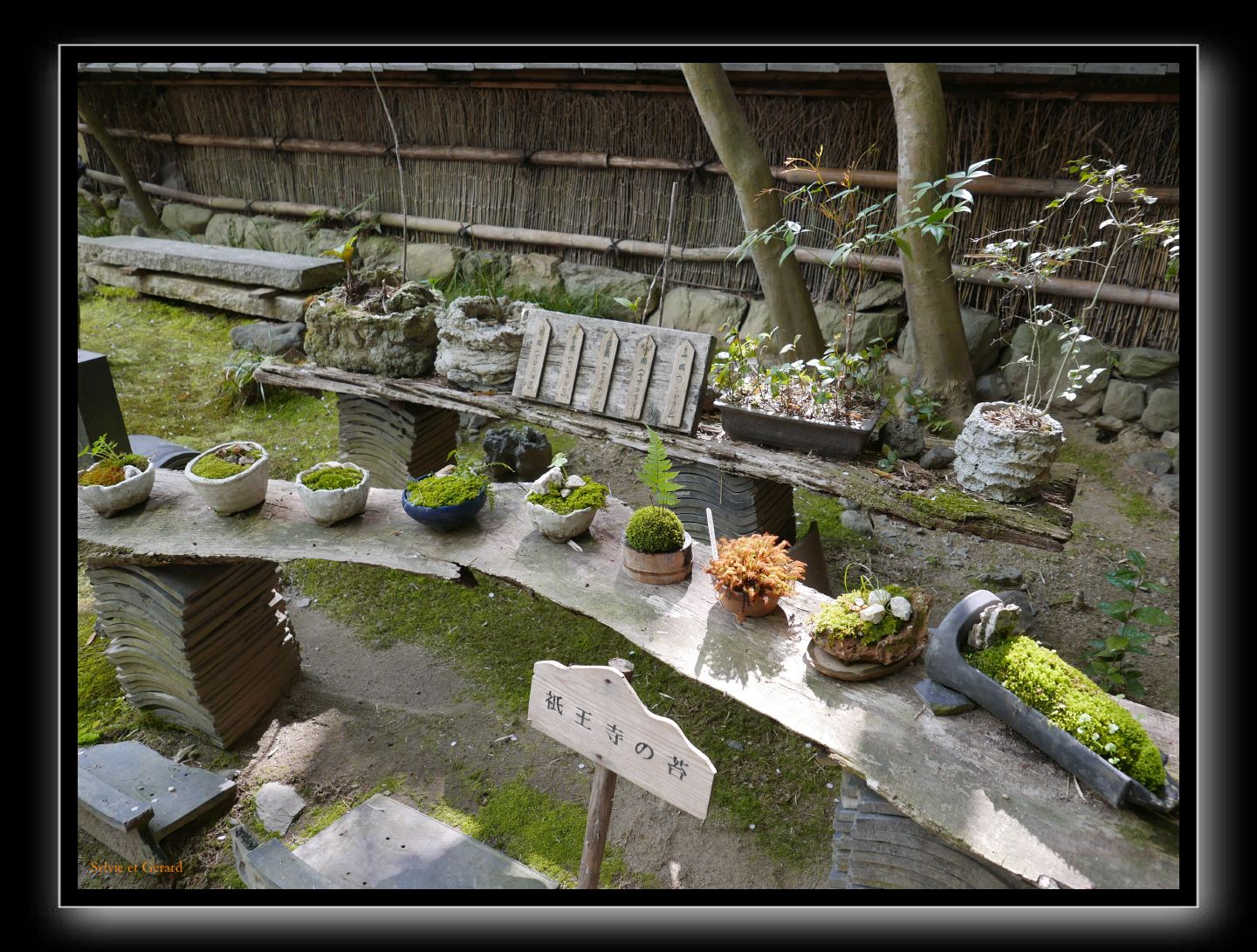 025 Kyoto Arashiyama Gio-ji  modèles de mousse