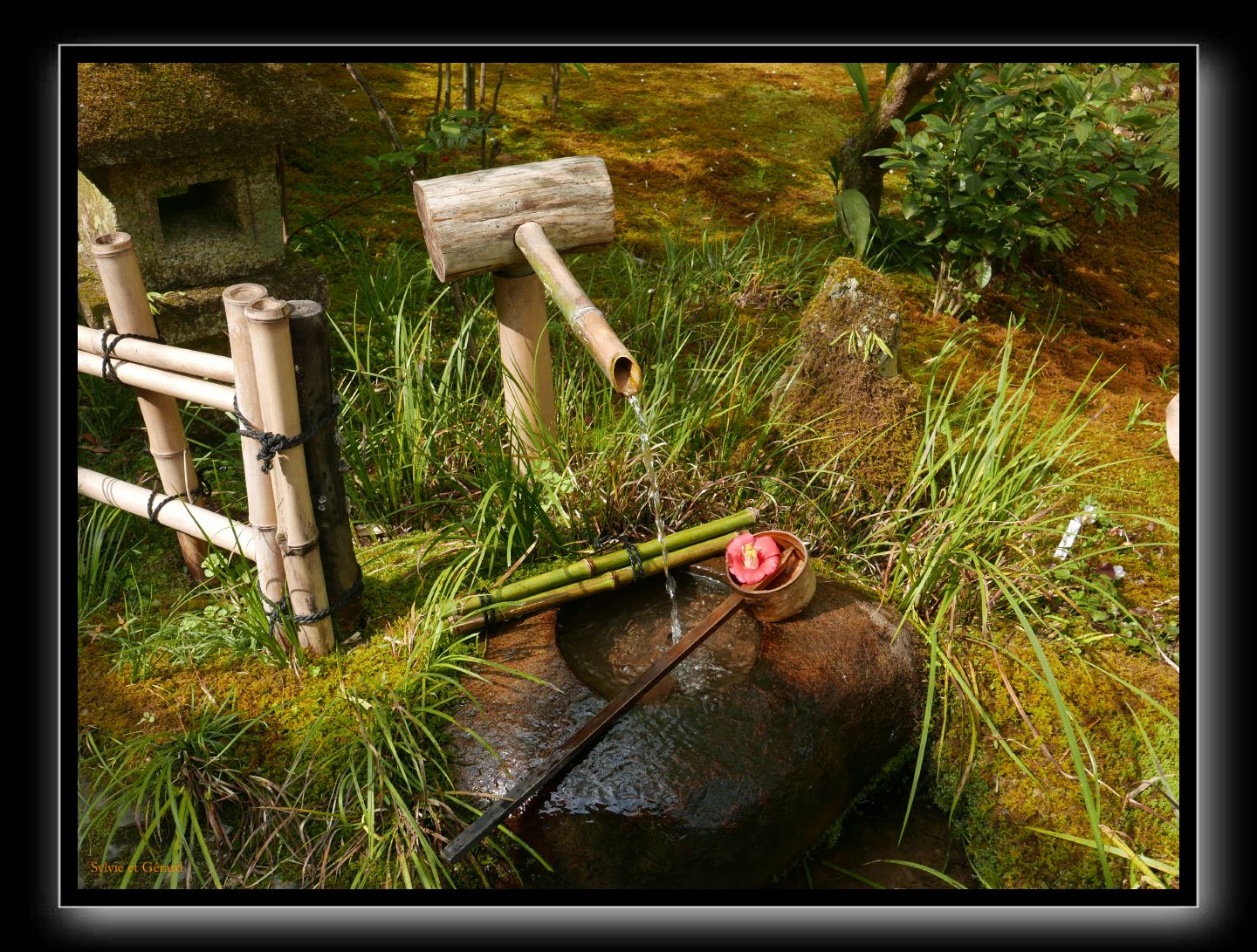 026 Kyoto Arashiyama Gio-ji 