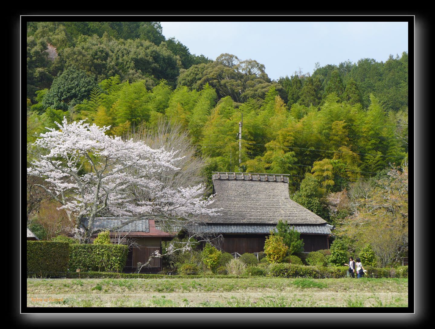 027 Kyoto Arashiyama Gio-ji  quartier alentour