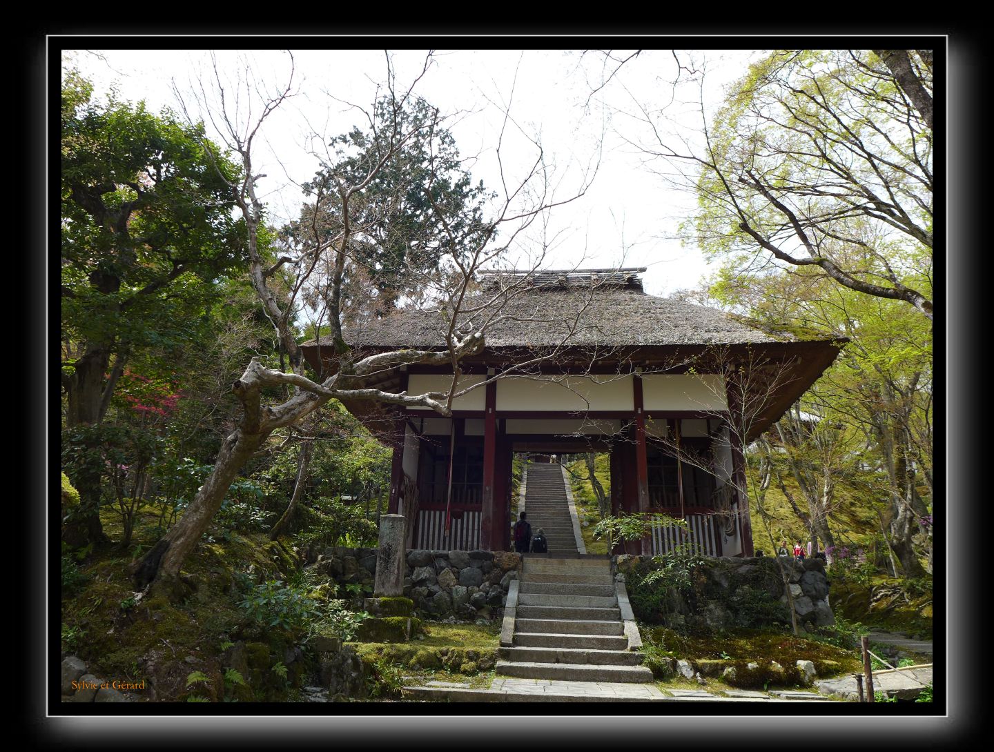 030 Kyoto Arashiyama Jojakko-ji  l'entrée