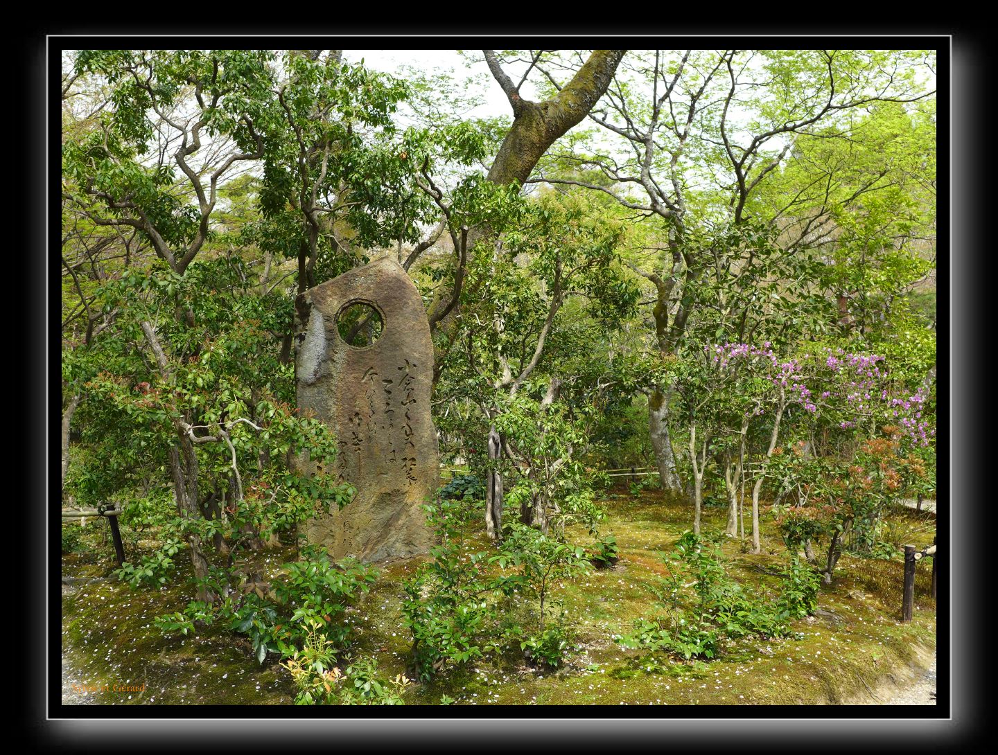 032 Kyoto Arashiyama Jojakko-ji 