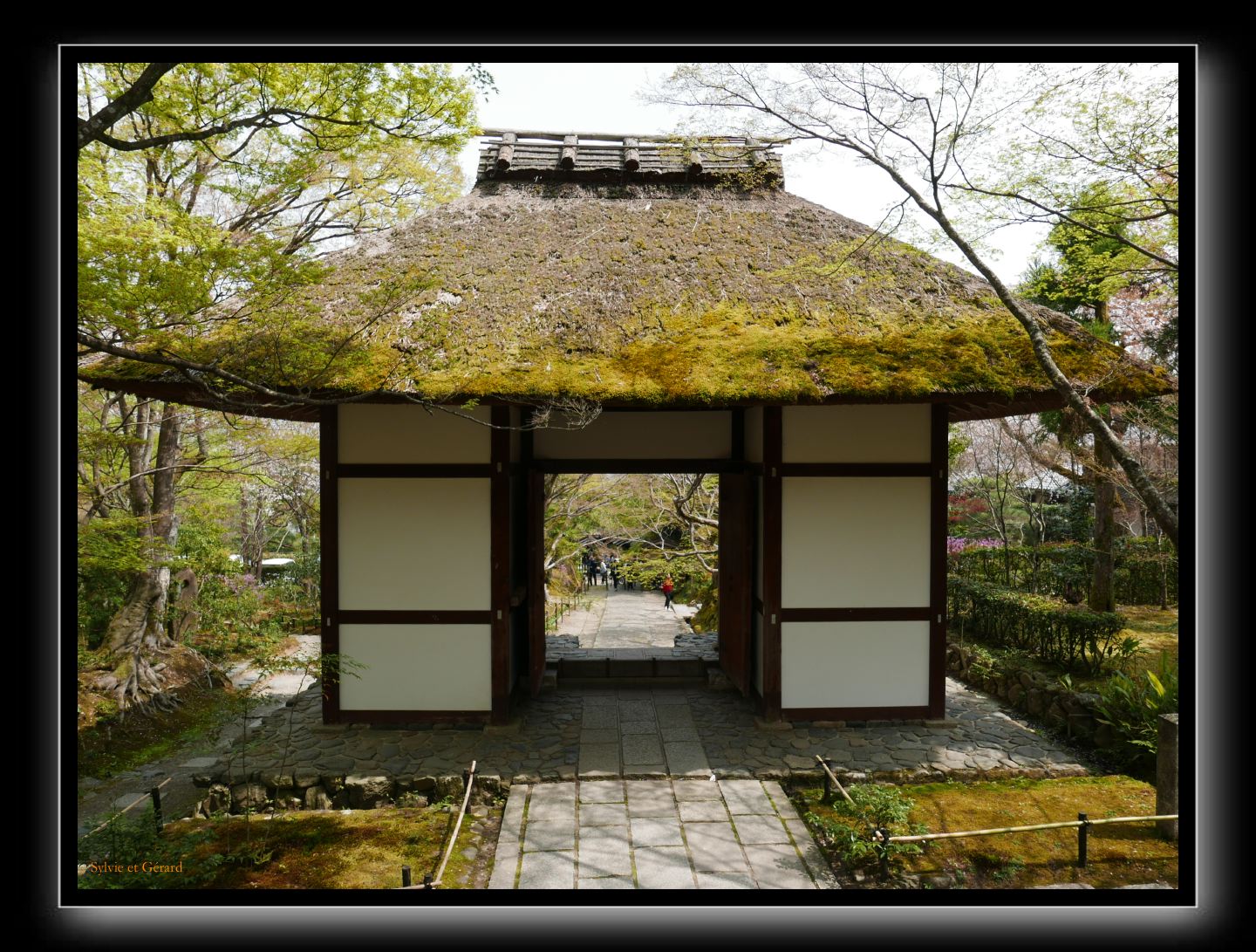 034 Kyoto Arashiyama Jojakko-ji 