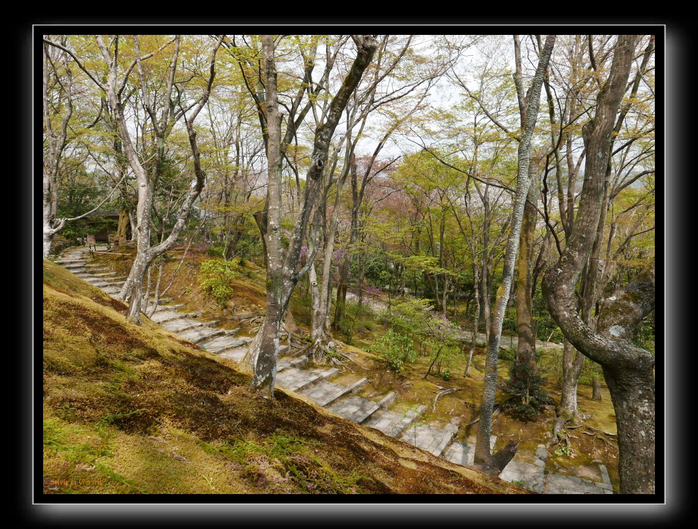 035 Kyoto Arashiyama Jojakko-ji 