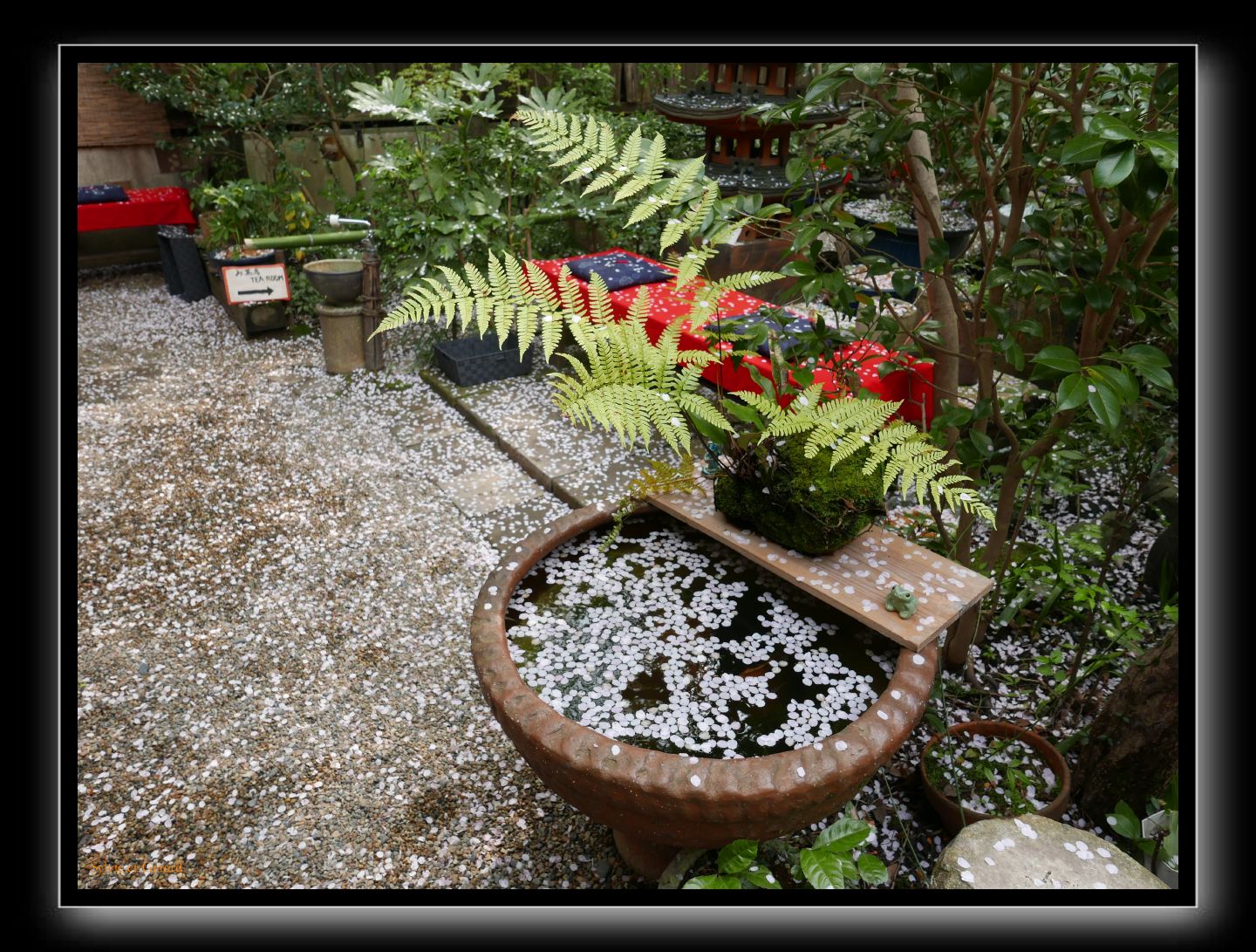 040 Kyoto Arashiyama Jojakko-ji 