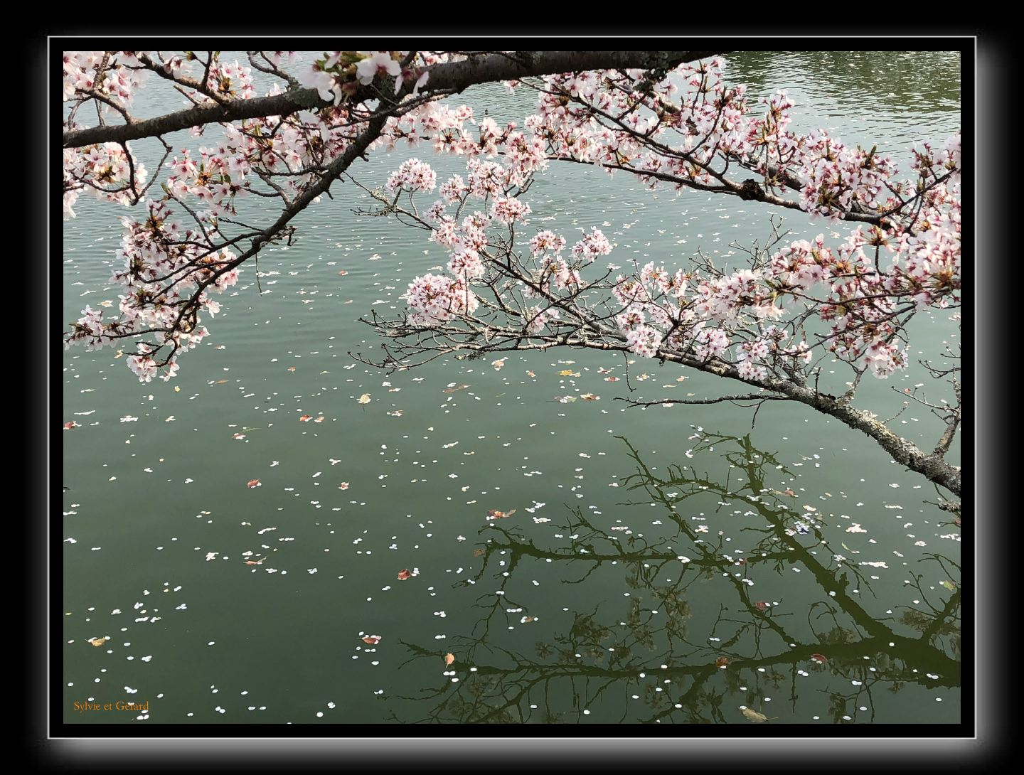 004 Kyoto Arashiyama Daikaku-ji 