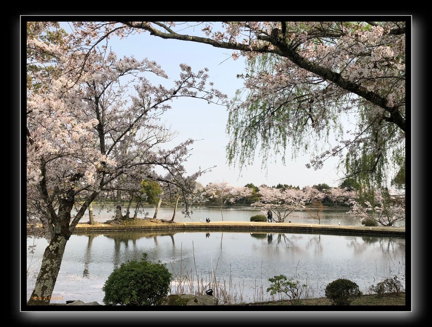 005 Kyoto Arashiyama Daikaku-ji 