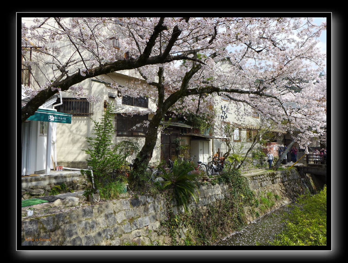 059 Kyoto chemin de la philosophie 