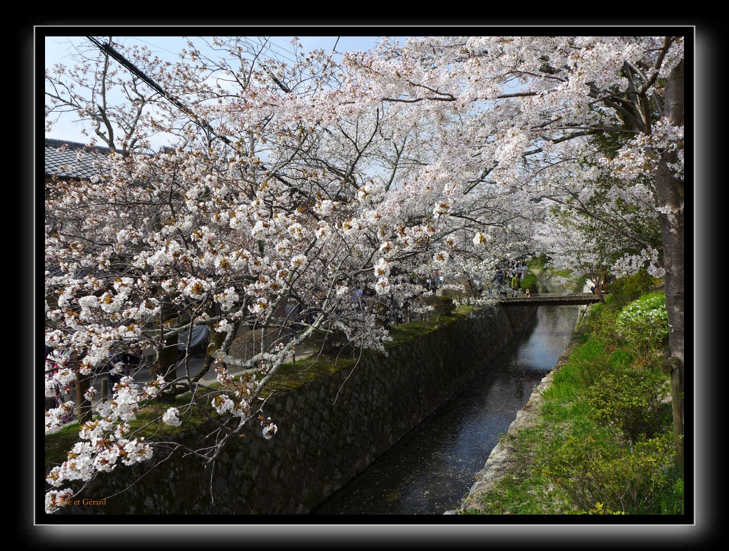 060 Kyoto chemin de la philosophie 