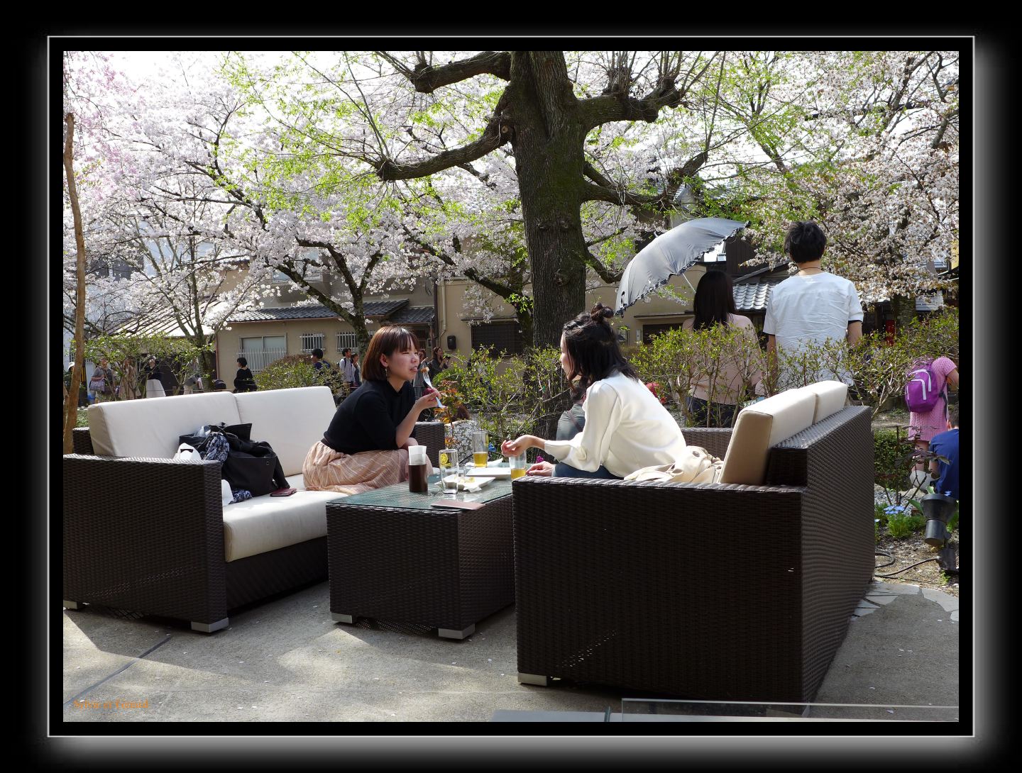 061 Kyoto chemin de la philosophie 