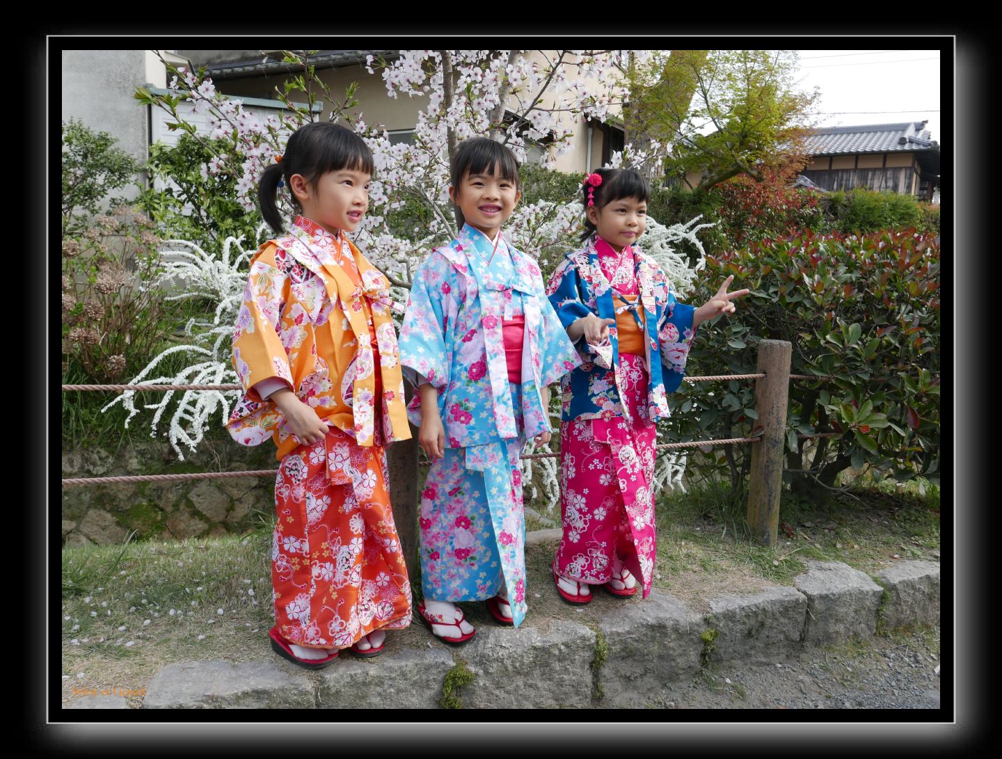 065 Kyoto chemin de la philosophie  pose à tout âge
