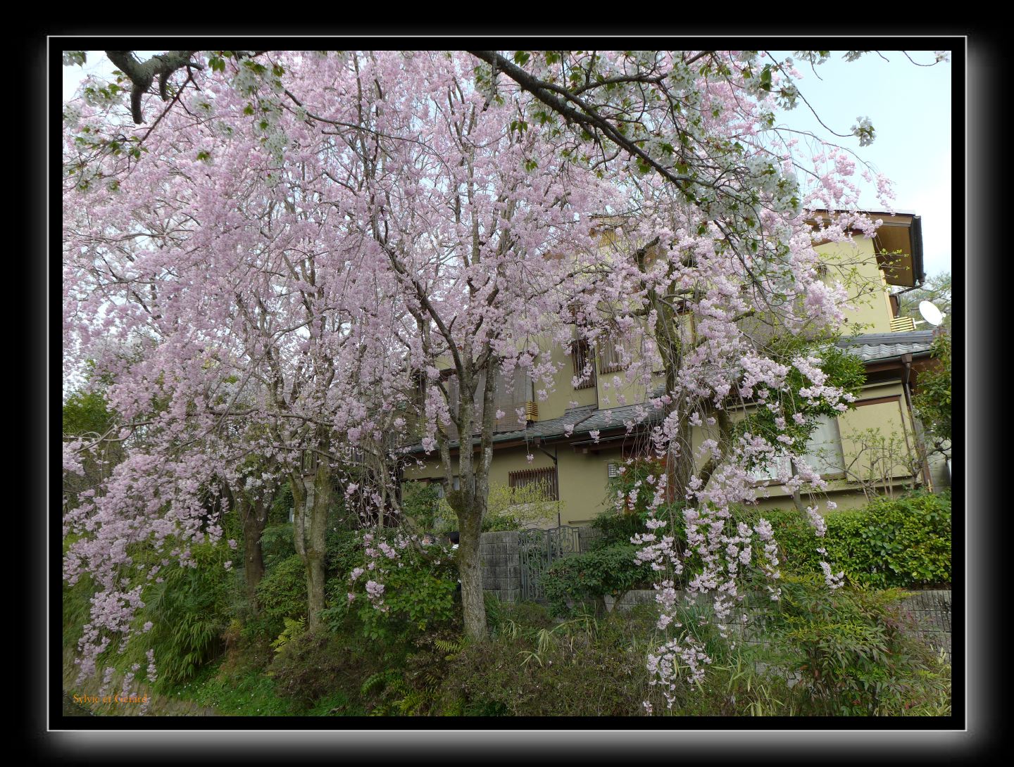 066 Kyoto chemin de la philosophie 