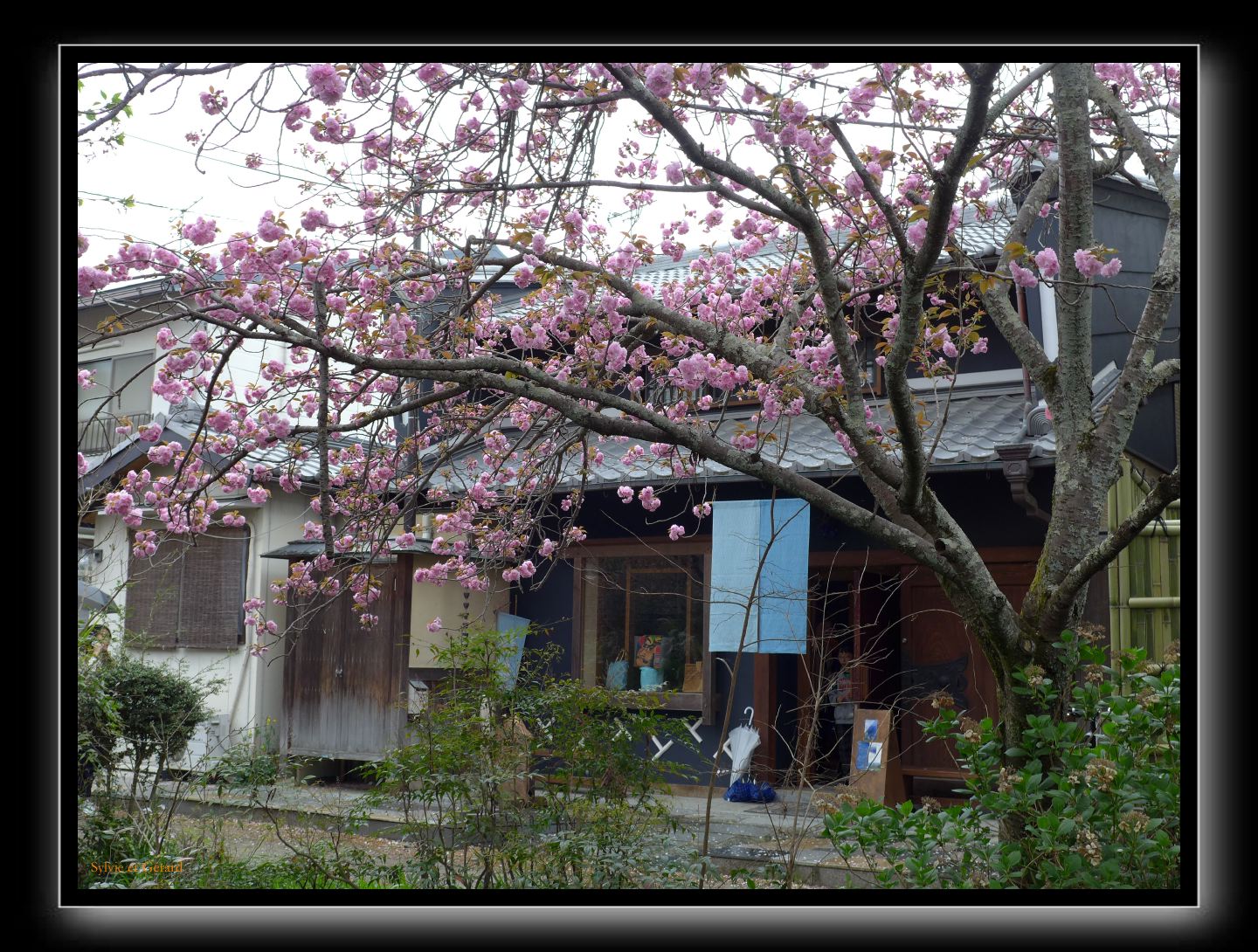 070 Kyoto chemin de la philosophie 