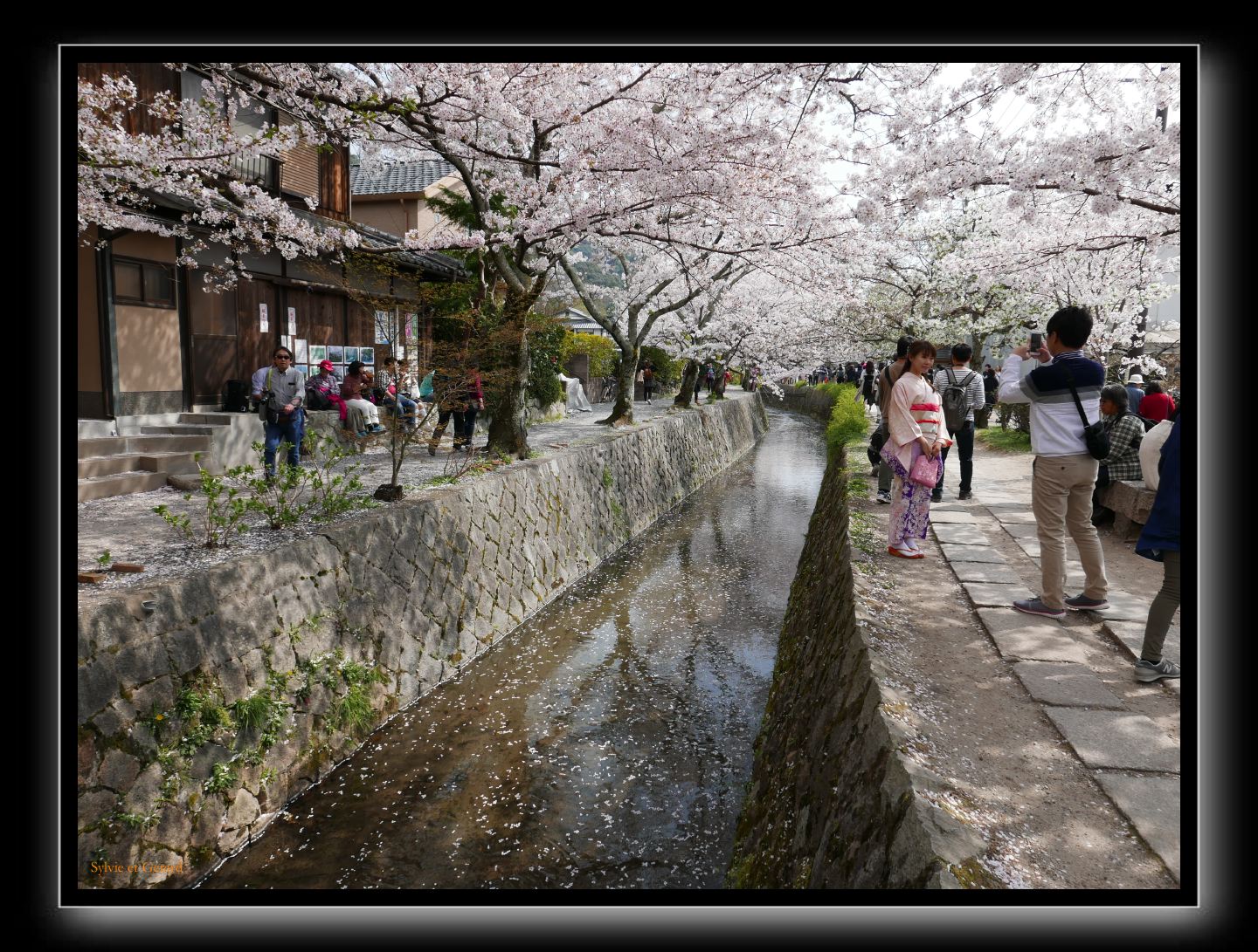 074 Kyoto chemin de la philosophie 