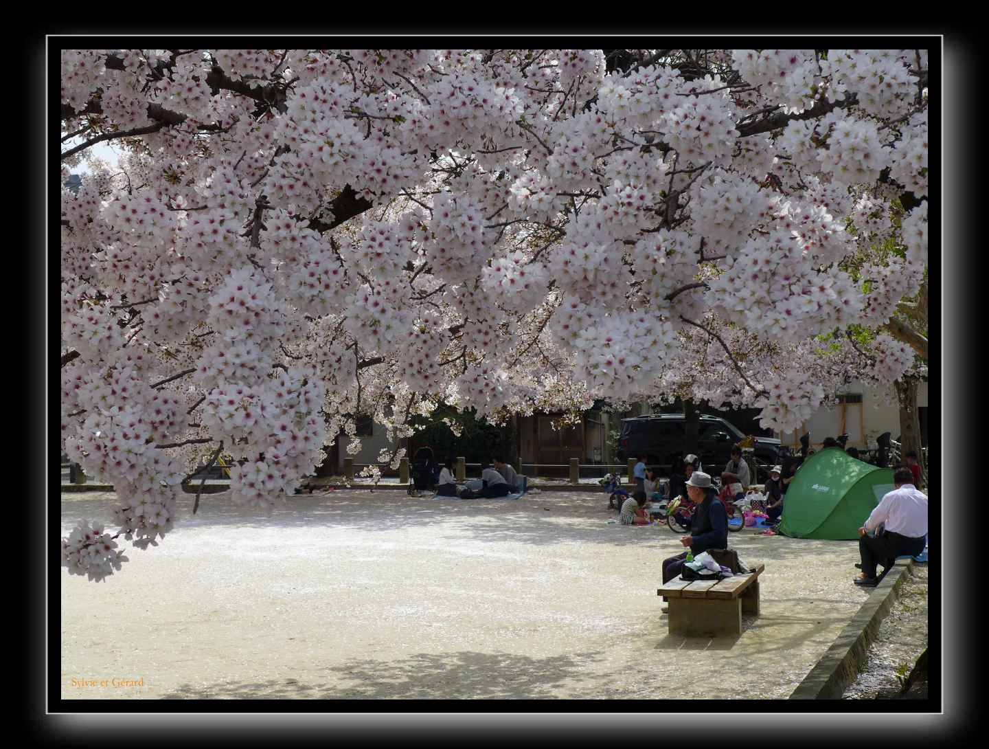 078 Kyoto chemin de la philosophie dans le quartier