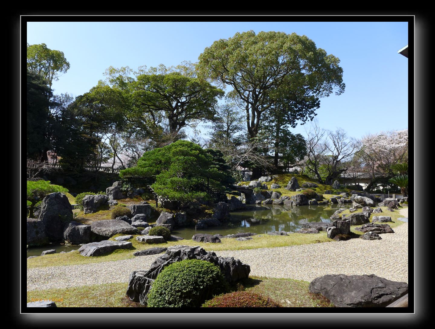 082 Kyoto Daigo-ji contemplation