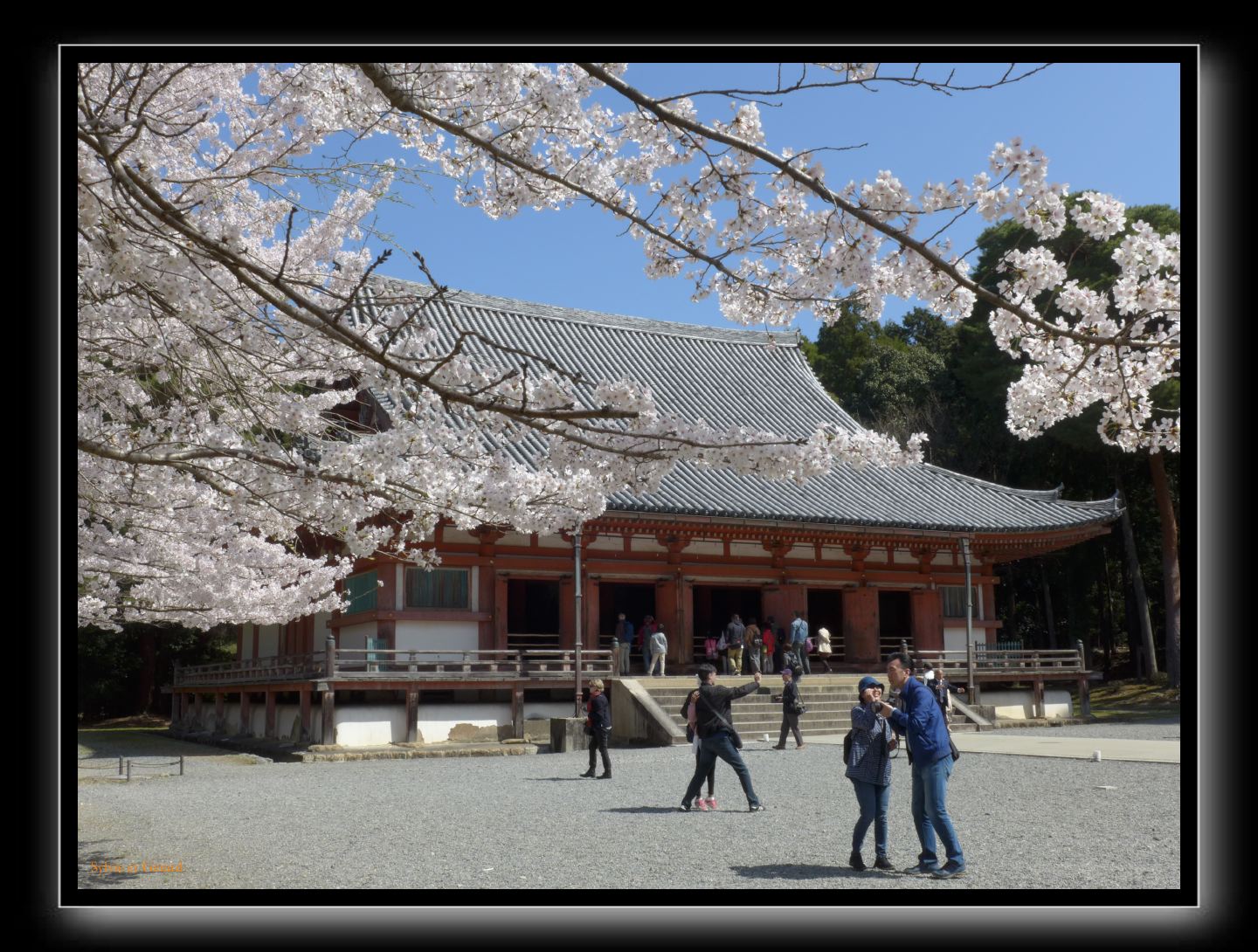 087 Kyoto Daigo-ji 