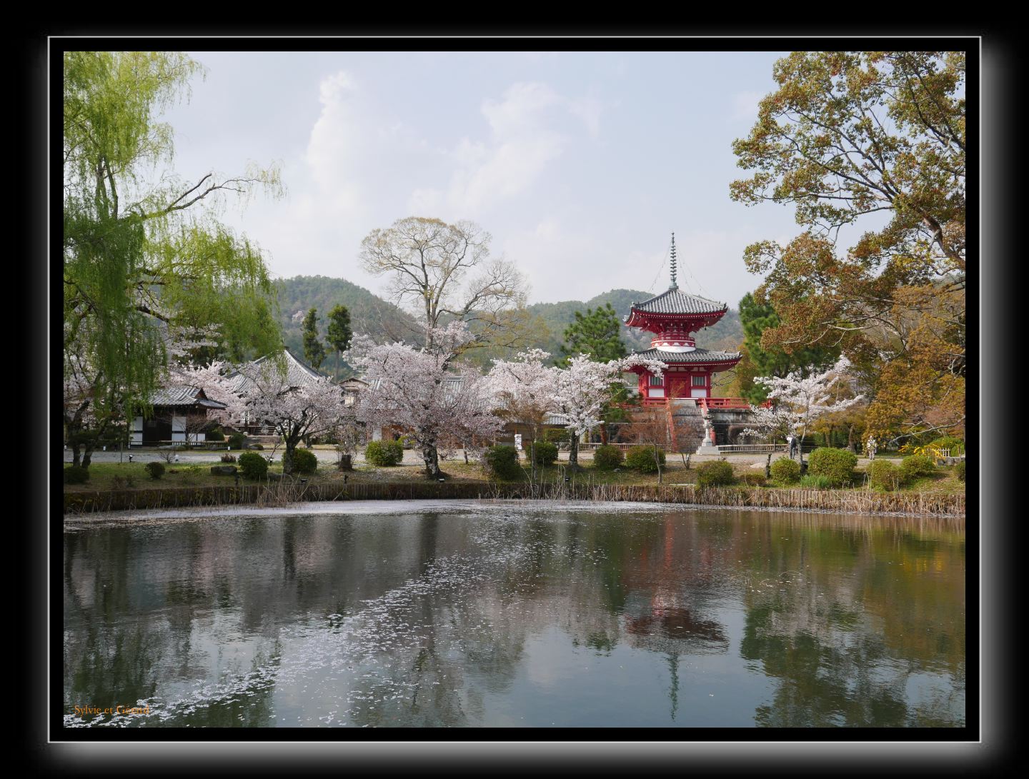 008 Kyoto Arashiyama Daikaku-ji  pagode Shingyo