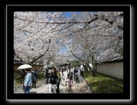 103 Kyoto Daigo-ji