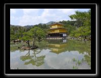 104 Kyoto Temple d'Or