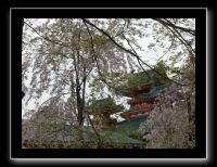 136 Kyoto Heian Jingu 