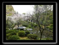 138 Kyoto Heian Jingu 