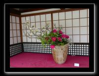 013 Kyoto Arashiyama Daikaku-ji le Daikaku-ji serait le temple originel de l'art de l'arrangement floral il y a 1200 ans