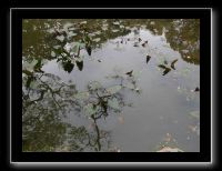 140 Kyoto Heian Jingu 