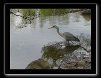 144 Kyoto Heian Jingu 