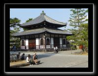 148 Kyoto Jardin Taizo-in Myoshin-ji 