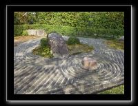 150 Kyoto Jardin Taizo-in Myoshin-ji 