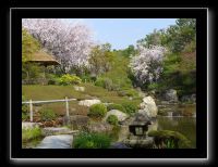 151 Kyoto Jardin Taizo-in Myoshin-ji 