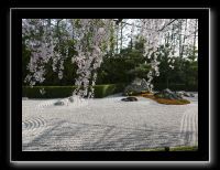 155 Kyoto Jardin Taizo-in Myoshin-ji 