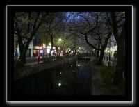 159 Kyoto Kiyamachi dori 