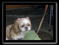 186 Kyoto Kiyomizudera 