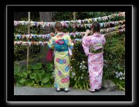 187 Kyoto Kiyomizudera 