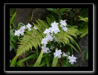188 Kyoto Kiyomizudera 
