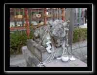 194 Kyoto Kumano Nyakuoji 