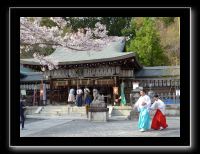 195 Kyoto Kumano Nyakuoji 