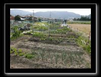 020 Kyoto Arashiyama Daikaku-ji le quartier alentour