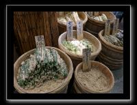 219 Kyoto marché Nishiki et les galeries 