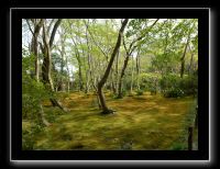 022 Kyoto Arashiyama Gio-ji