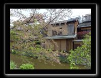 237 Kyoto Shrirakawa Minami Dori