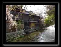 240 Kyoto Shrirakawa Minami Dori 