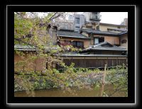 243 Kyoto Shrirakawa Minami Dori 